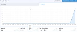47 Overview Report Sessions and Page Views