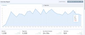 47a Overview Report Sessions and Page Views