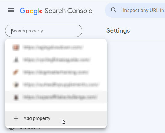 Add a Google Property (Website)