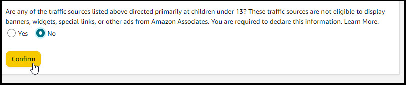 06 Confirm Your Site Is Not Directed at Children