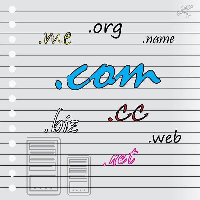 Domain Name Selection